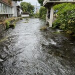 うなぎ 桜家 - 