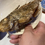 魚のまるた - 