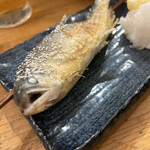 刺身と原始焼き ダイキチきんぎょ - 