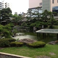 All Day Dining shizuku - 池