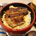 Daruma Unagi - 