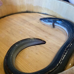 銀座 四代目 高橋屋 - 