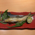 酒と肴と蕎麦 サカナケンキュウジョ - 