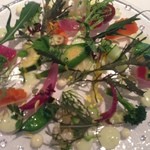 コシモ・プリュス - 