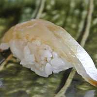 鮨長 - 縞鯵。