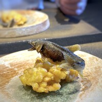 日本料理 TOBIUME - ◆清流「跳ねる」・・・最初に登場した「鮎」さんが、まるで跳ねるかのような芸術作品の塩焼きに。朝採れの玉蜀黍のフリット