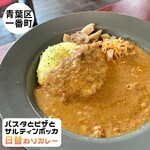 Pasutatopizatosaruthimbokka - 本日のカレー　Instagram＠eiyasu77