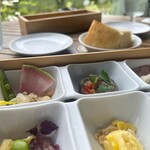 バードツリー - 