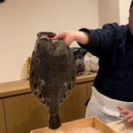 勢麟 - 【本日の貴重な素材】幻の星鰈