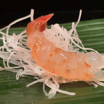 豊寿司 - 活ボタン海老