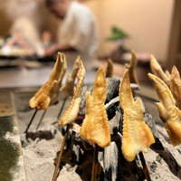 鳥匠いし井ひな - 