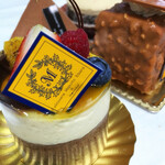 マコトエバラ×モンレアル - 