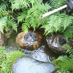 日和庵 - 石造りの階段を登り、エントランスに入ると日本庭園がお出迎え。