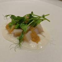 馳走西健一 - 湯通し白ミル貝　新玉葱のピューレソース敷き
                      うすい豆とうすい豆の若芽載せ