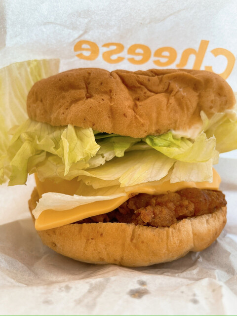 ケンタッキーフライドチキン イオンモール名取店 - 杜せきのした（鳥料理）の写真