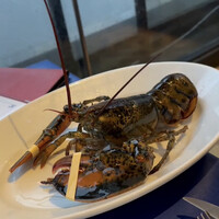 オッティモ・シーフード・ガーデン 新宿店 - 