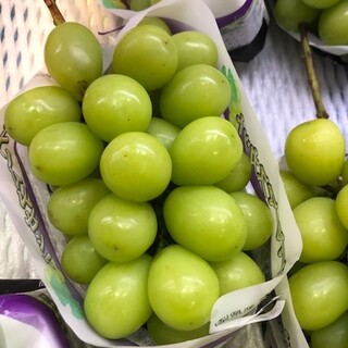 いごっそう 彩肴_2