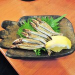 酒肴商店 アジト - ウルメ？