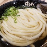 Hanamaru Udon - 冷かけ。