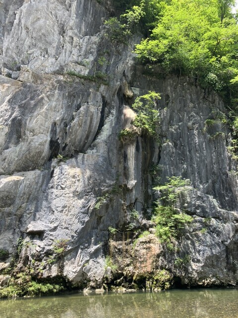 たかこう - 猊鼻渓（うなぎ）の写真