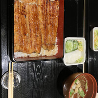 うなぎ 目白ぞろ芽 - 