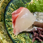 食堂こなん - 愛媛 真鯛 山口 瀬付鯵