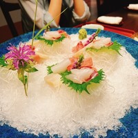 足利伊萬里 - 刺身盛合せ