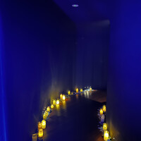 渋谷 Blue bird - 