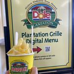 Dole Plantation - 