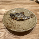 旬菜旬魚 たじま - 