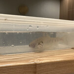 旬菜旬魚 たじま - 