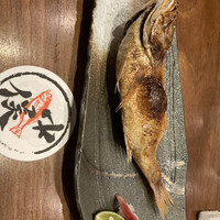 のどぐろの中俣 新橋 - 