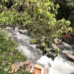 妙見石原荘 食菜石蔵 - 眺めは渓流