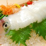 Toriyasu - 日本海沖から直送の活きイカです。お刺身と塩焼きまたはから揚げで丸ごとお召し上がりいただけます。