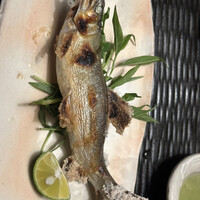 九つ井 玉川店 - 