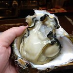 Kushi Dainingu Yume - 愛知県日間賀島の特大岩牡蠣　普通の生牡蠣4〜5個分は有ります