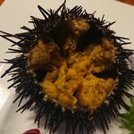 鳥善 - 身がぎっしり