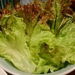 焼肉 静龍苑 - サンチュ