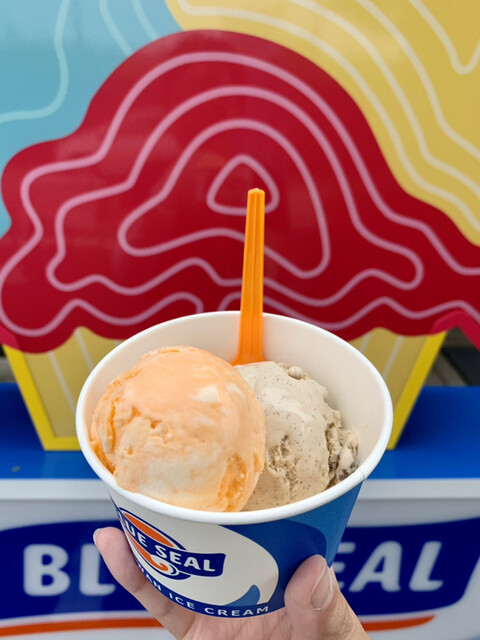 ブルーシール 岐阜ナガラガワフレーバー店 （BLUE SEAL） - 田神