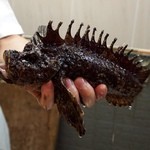 瀬戸寿司 - おこぜちゃん