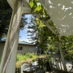 Sajilo Cafe Forest - 