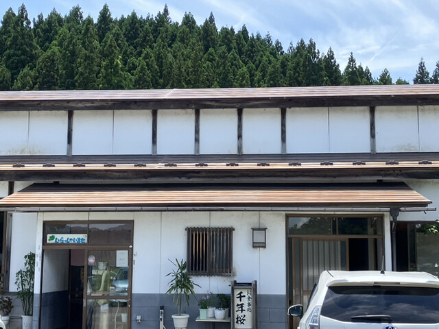 千年桜（センネンザクラ） - 黒沢（由利高原）（食堂）の写真