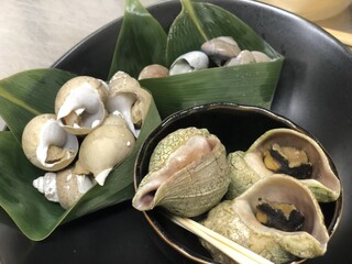 h Ichizuya - 道産貝の数々