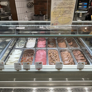 カカオハンターズプラス_1