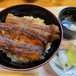 炭焼うなぎ 加茂 - 