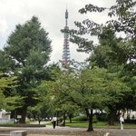 Maison Blanche - 芝公園からの東京タワーです
