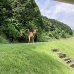 太平洋クラブ相模コース - 