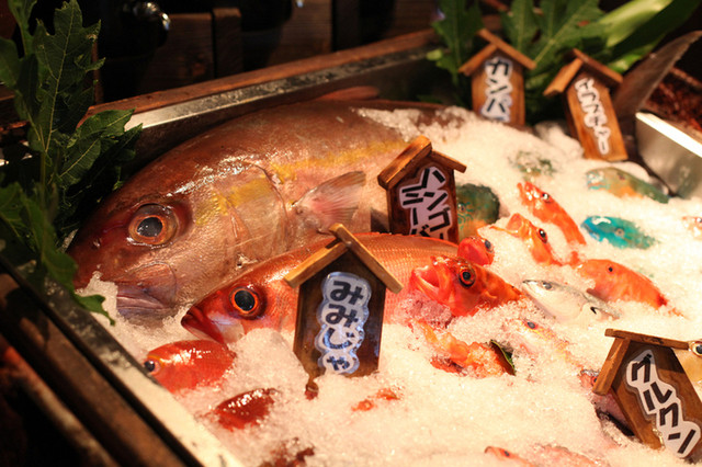 閉店 くろ潮の大関 美栄橋 魚介料理 海鮮料理 食べログ