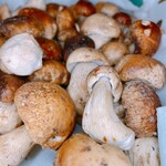 “牛肝菌菇”