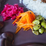 256nicom - カレープレート　副菜7種